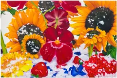 Marc Quinn, Pack Ice off the Isle of Wight, 2008, oil on canvas