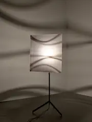 Ólafur Elíasson, Shadow lamp, 2005, translucent acrylic glass, stainless steel, halogen bulb, motor and tripod
