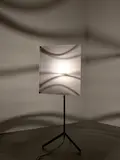 Ólafur Elíasson, Shadow lamp, 2005, translucent acrylic glass, stainless steel, halogen bulb, motor and tripod