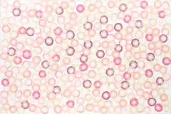 Ross Bleckner, O Room, 2001, oil on linen