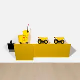 Haim Steinbach, tongkong rubbermaid II-2