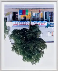 Rodney Graham, Main Street Tree, 2006, chromogenic print, mounted