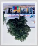 Rodney Graham, Main Street Tree