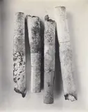 Irving Penn, Cigarette No. 86, 1972, platinum-palladium print, mounted