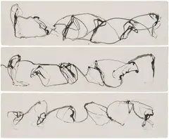 Brice Marden, Three Works: (i) Nevisian Story 17/Garden 1 ; (ii) Nevisian Story 18/Garden 2 ; (iii) Nevisian Story 19/Garden 3, 2004-2007, Kremer ink on paper