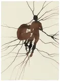 Antony Gormley, Together III, 2023, walnut ink on paper