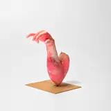 Urs Fischer, Picky Eater