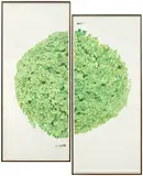 Dave Muller, Cloverball
