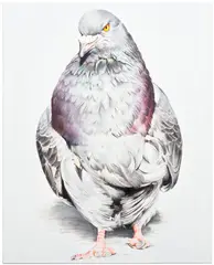Adele Renault, Tenderloin Chicken, 2014, oil on linen