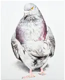 Adele Renault, Tenderloin Chicken, 2014, oil on linen