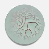 Adriana Varejão, Monocromo Redondo Ge, 2014, oil and plaster on canvas