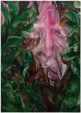 Michele Fletcher, Saudade, 2023, oil on linen