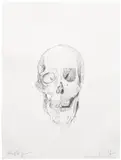 Damien Hirst & Michael Joo, Skull drawing 2 (untitled), 2006, graphite on paper