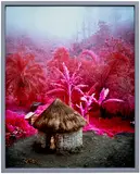 Richard Mosse, Come Out (1966) II, 2011, chromogenic print, mounted, in artist's frame