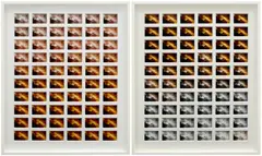 Darren Almond, Dawn and Dusk, 1996, chromogenic print, diptych