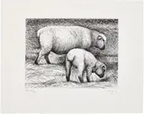 Henry Moore, Fat Lambs, plate V from Sheep Album (C. 227), 1974, Etching and drypoint, on Rives paper watermarked with the artist's symbol, with full margins