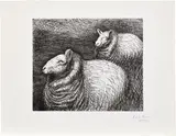 Henry Moore, Ready for Shearing, plate IX from Sheep Album (C. 230), 1974, Etching and drypoint, on Rives paper, with full margins