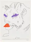 Andy Warhol, Lion, 1975, Offset lithograph in colours, on wove paper, the full sheet