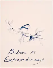 Tracey Emin, Believe in Extraordinary, 2015, Lithograph in colours, on Somerset paper, the full sheet