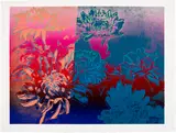 Andy Warhol, Kiku (see F. & S. 309), 1983, Screenprint in colours, on Arches paper, with margins