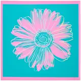 Andy Warhol, Daisy (see F. & S. IIIA.38), circa 1982, Unique screenprint in colours, on Lenox Museum Board, the full sheet