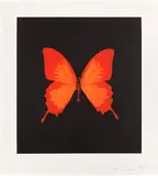 Damien Hirst, The Souls on Jacob’s Ladder Take their Flight: plate 3, 2007, Aquatint and photogravure in colours, on Arches paper, with full margins