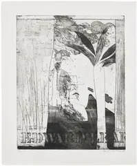 David Hockney, Edward Lear (S.A.C. 34, M.C.A.T. 34), 1964, Etching and aquatint, on mould-made paper, with full margins