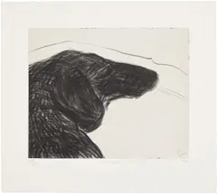 David Hockney, Dog Etching No. 6, from Dog Wall, 1998, Etching, on Somerset paper, with full margins