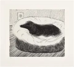 David Hockney, Dog Etching No. 5, from Dog Wall, 1998, Etching, on Somerset paper, with full margins