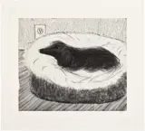 David Hockney, Dog Etching No. 5, from Dog Wall, 1998, Etching, on Somerset paper, with full margins