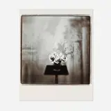 Keith Carter, White Roses, 1998, gelatin silver print