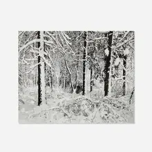 Trees in Snow, Yosemite by Wynn Bullock, gelatin silver print, sold Dec 2025