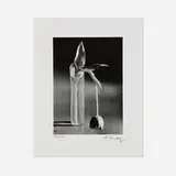 André Kertész, Melancholic Tulip, gelatin silver print