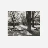 Minor White, Untitled (Woman in Garden), gelatin silver print
