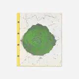 David Gilhooly, Cabbage Love Book