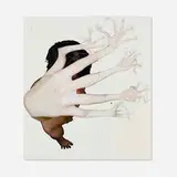 Tim Hawkinson, Untitled, 2003, photo collage on foamcore mounted to panel