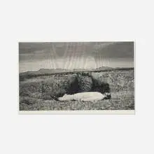Kon Trubkovich, Double Entrance/Double Exit 15, 2009, graphite on Arches