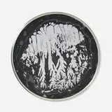 Ronald Mallory, Number 5, 1968, mercury, aluminum, Plexiglas