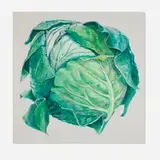 Don Nice, Cabbage, 1967, acrylic on canvas