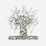 Erik Levine, Blastulablob