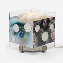 Tony Oursler, The Revolving Lamp, 2009, acrylic, stainless steel, printed acetate and paper