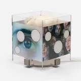 Tony Oursler, The Revolving Lamp, 2009, acrylic, stainless steel, printed acetate and paper