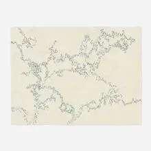 Victoria Haven, Field Series #21, 2004, ink on paper