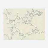 Victoria Haven, Field Series #21, 2004, ink on paper
