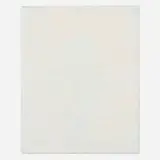 Michael E. Smith, Untitled, 2010, plastic and enamel on canvas