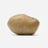 Margaret Lee, Katahdin, 2011, hand-painted plaster cast of a potato grown by Nicholas Weist