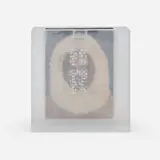 Tavares Strachan, SEEN/UNSEEN: Multiple Edition, 2014, bound book, frosted acrylic and screenprint on Mylar