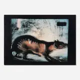 Mario Schifano, Thylacine, 1990-97, acrylic and digital print on vinyl