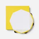 Paul Lee, Untitled (tambourine), 2011, acrylic on wood and tambourine