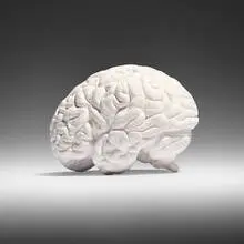 Gehirn (Brain) by Katharina Fritsch, 1987-89, painted plaster, sold Oct 2025